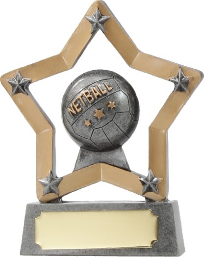 12911 Netball trophy 129mm