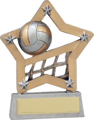 12927 Volley Ball Trophy 125mm