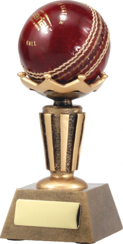 A1005 Cricket trophy 176mm