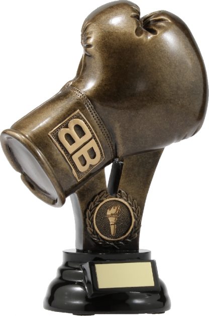 A307A Boxing trophy 210mm