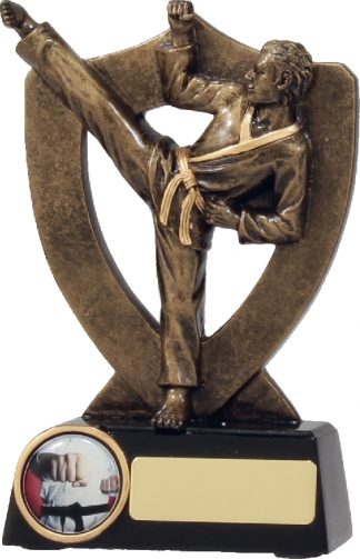 A313AA Martial Arts trophy 165mm