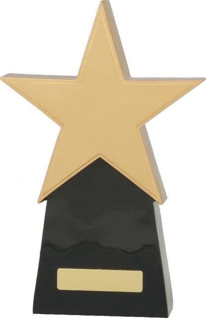 A369C Achievement Trophies Trophy 260mm