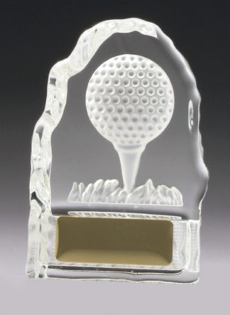 CN817 Golf Trophy 110mm