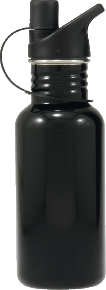 LWB011 Special Awards Water bottle