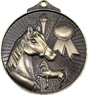 MD935 Equestrian trophy 52mm
