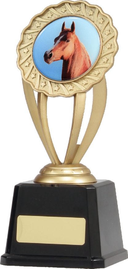 Q682 Achievement Trophies Trophy 190mm