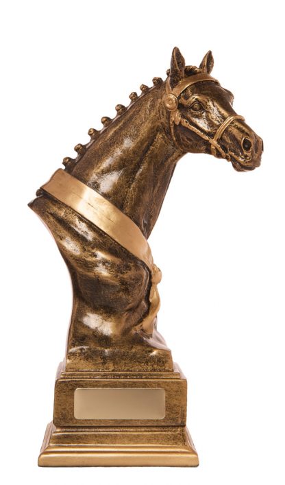 Horses Trophy 733/30A 225mm