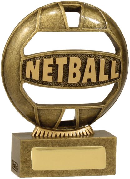 Netball Trophy 13937AA 110mm